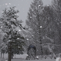 2010.12.23-082.JPG