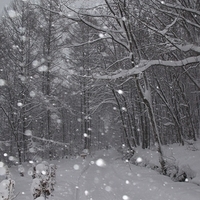 2010.12.23-083.JPG