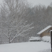 2010.12.23-084.JPG