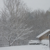2010.12.23-085.JPG