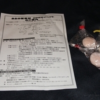 2010.12.23-165.JPG