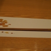 2010.12.22-074.JPG