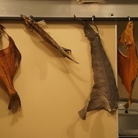 2010.12.22-081.JPG