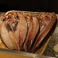 2010.12.22-084.JPG