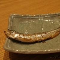 2010.12.22-090.JPG