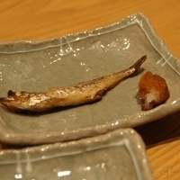 2010.12.22-091.JPG
