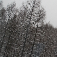 2010.12.21-001.JPG