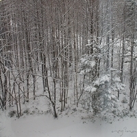 2010.12.21-002.JPG