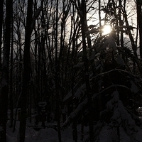 2010.12.21-159.JPG