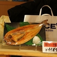 2010.12.27-004.JPG