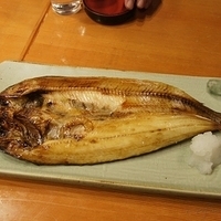 2010.12.27-016.JPG
