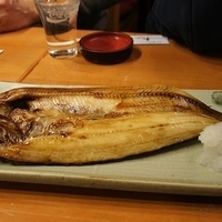 2010.12.27-017.JPG