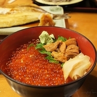 2010.12.27-020.JPG