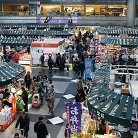 2010.12.27-023.JPG