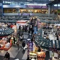 2010.12.27-024.JPG