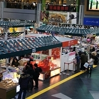 2010.12.27-026.JPG