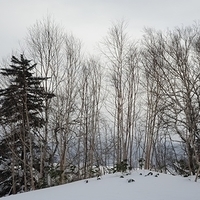2010.12.25-Furano by Roger Nikon-026.JPG