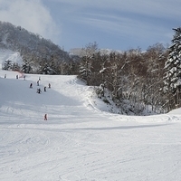 2010.12.25-Furano by Roger Nikon-486.JPG