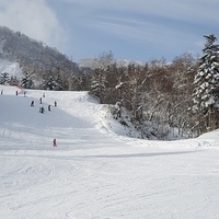 2010.12.25-Furano by Roger Nikon-487.JPG