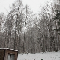 2010.12.23-014.JPG