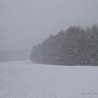 2010.12.23-047.JPG