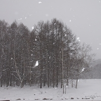 2010.12.24-003.JPG