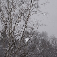 2010.12.24-004.JPG