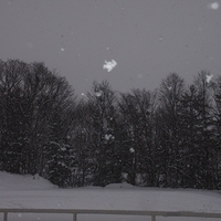 2010.12.24-007.JPG