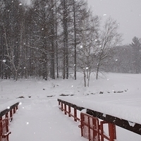 2010.12.24-009.JPG
