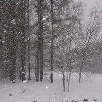 2010.12.24-010.JPG