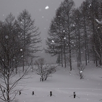 2010.12.24-012.JPG