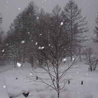 2010.12.24-013.JPG