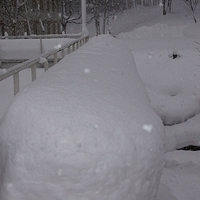 2010.12.24-014.JPG