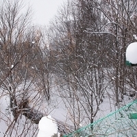 2010.12.24-015.JPG