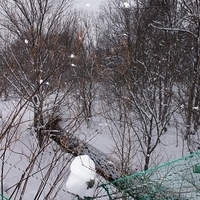 2010.12.24-016.JPG