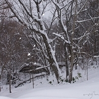 2010.12.24-017.JPG