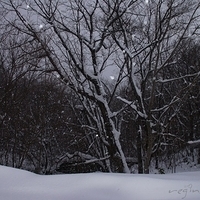 2010.12.24-018.JPG