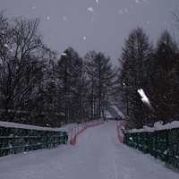 2010.12.24-019.JPG