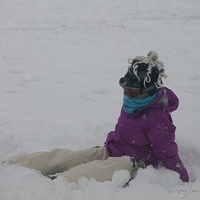 2010.12.24-028.JPG