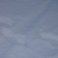 2010.12.24-063.JPG