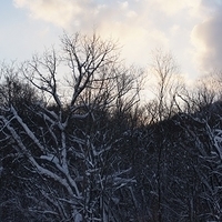 2010.12.24-064.JPG