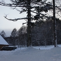 2010.12.24-068.JPG