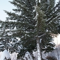 2010.12.24-069.JPG