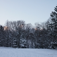 2010.12.24-077.JPG