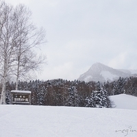 2010.12.25-039.JPG