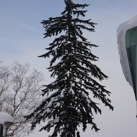 2010.12.25-079.JPG