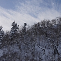 2010.12.25-084.JPG
