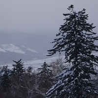 2010.12.25-089.JPG