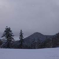 2010.12.25-092.JPG