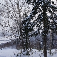 2010.12.25-094.JPG